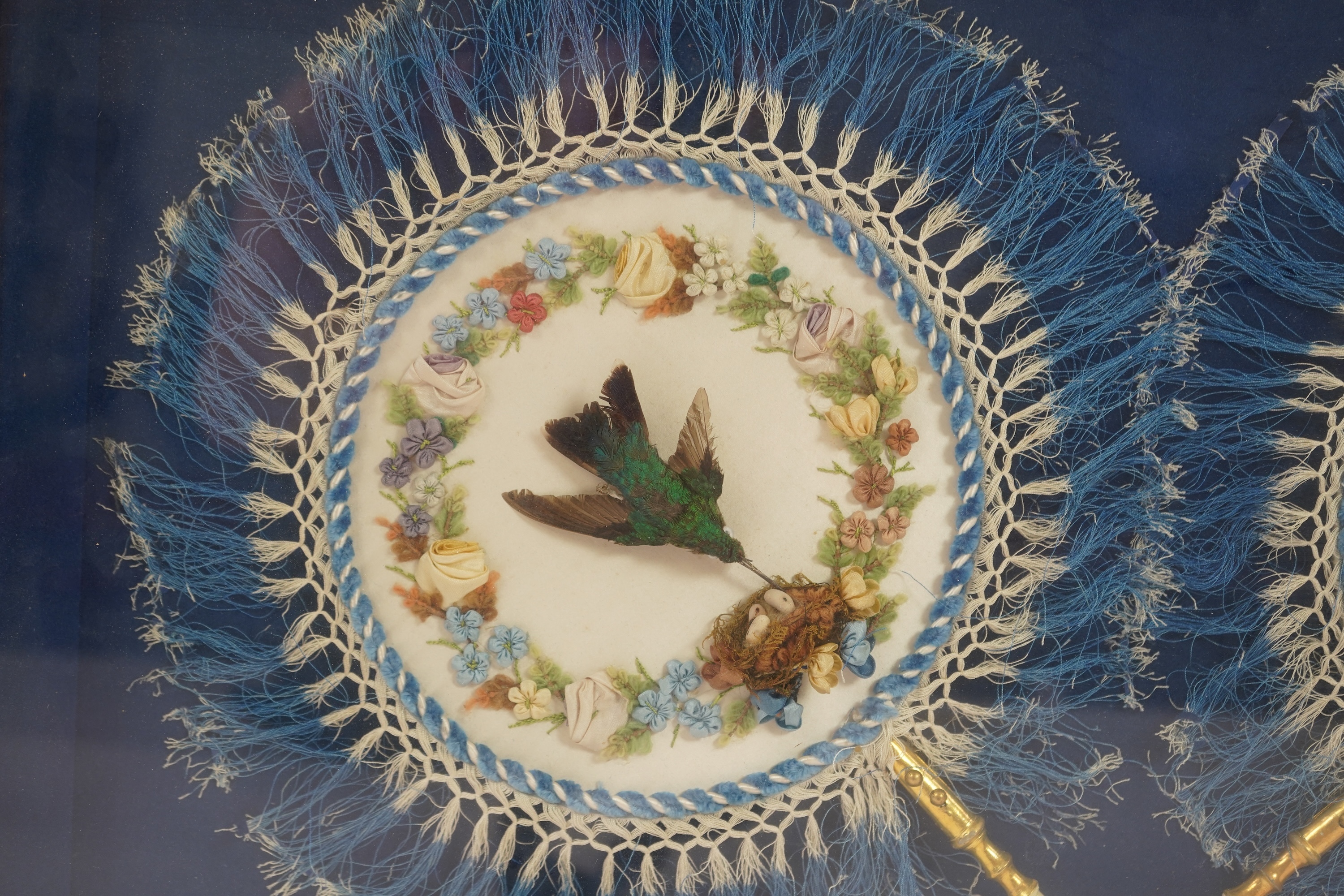 A pair of framed exotic Regency taxidermy hummingbird face fans